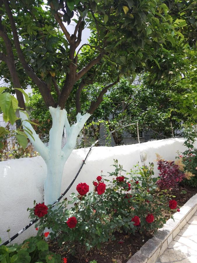 Margarita Apartment Ksamil